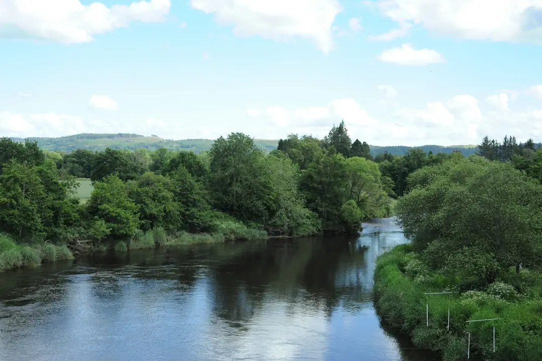 The River Earn running slow and dark between tree-lined banks in Perthshire